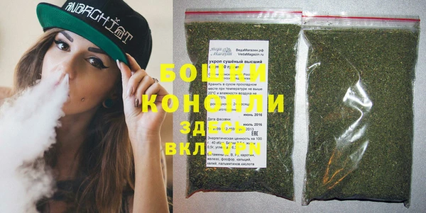 прущий лед Нея