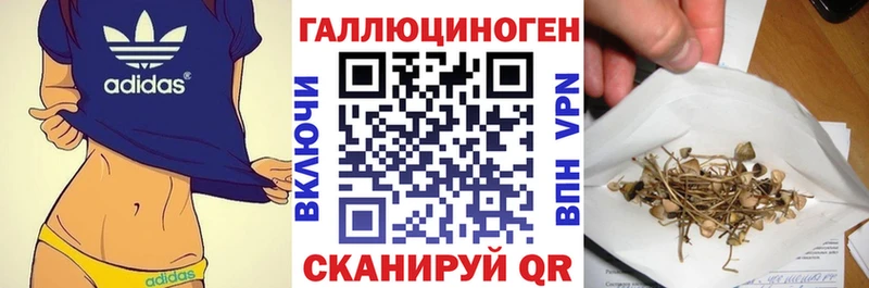 Псилоцибиновые грибы Cubensis  Купить закладки  Брюховецкая 
